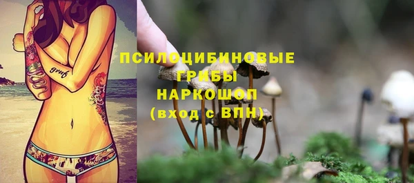 хмурый Шарыпово