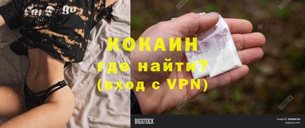 соль ск Дмитровск