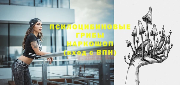 PSILOCYBIN Дмитров