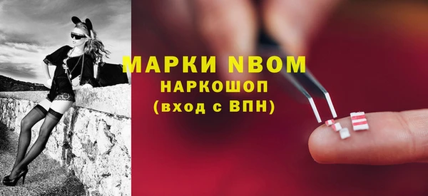 соль ск Дмитровск