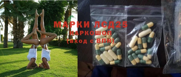 PSILOCYBIN Дмитров