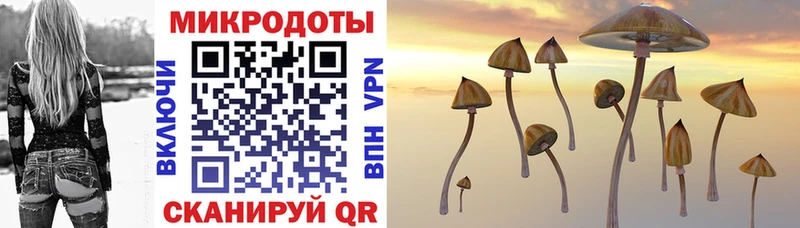 Галлюциногенные грибы Psilocybe  darknet официальный сайт  Петухово  omg ONION 